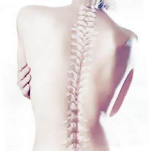 Vertebrologiya 297x300 Вертебрологія