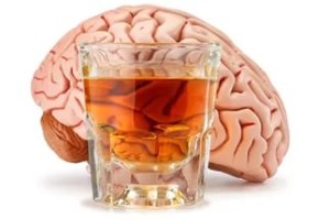 alkogol i mozg 300x199 Вся правда об алкоголе